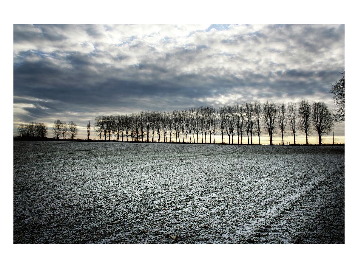Early morning frost, the North Downs, Kent, 2010