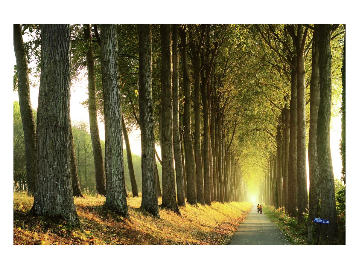 Damse Vaart, Belgium, 2018