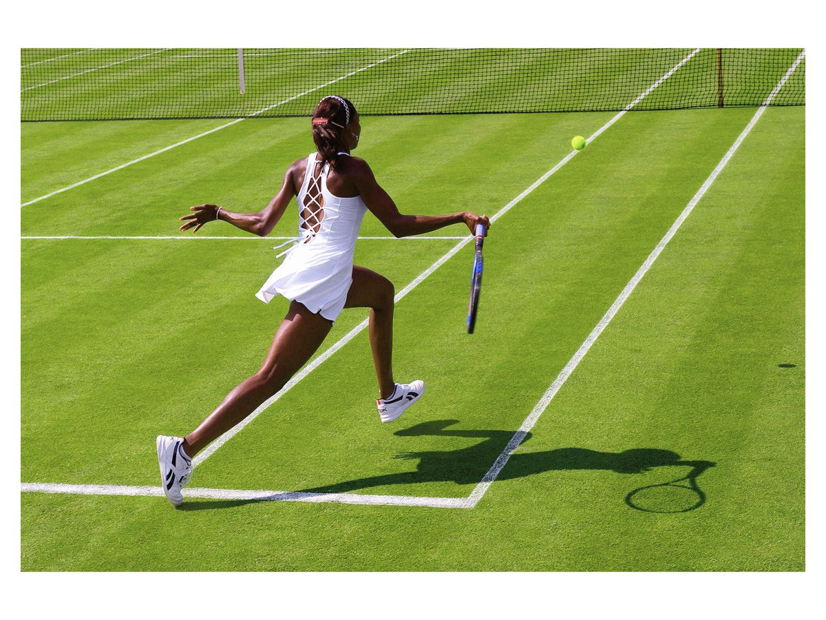 Venus Williams, 2003