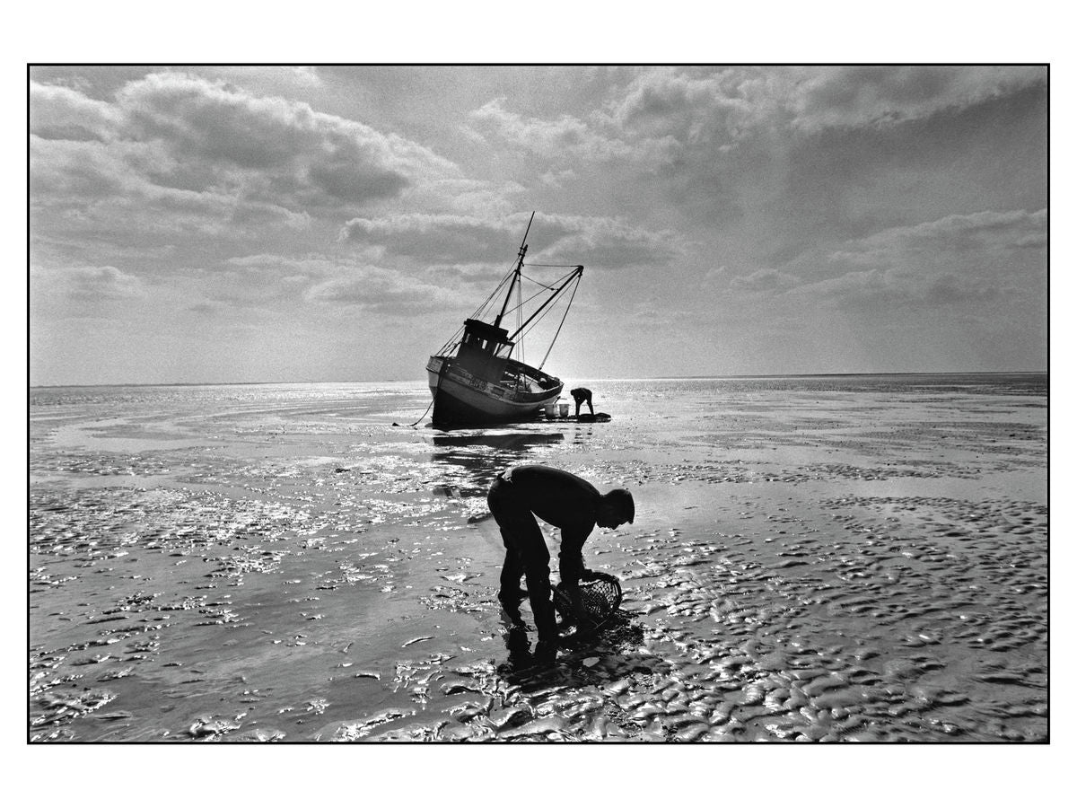 Traditional cockle fishermen, Norfolk, 1988