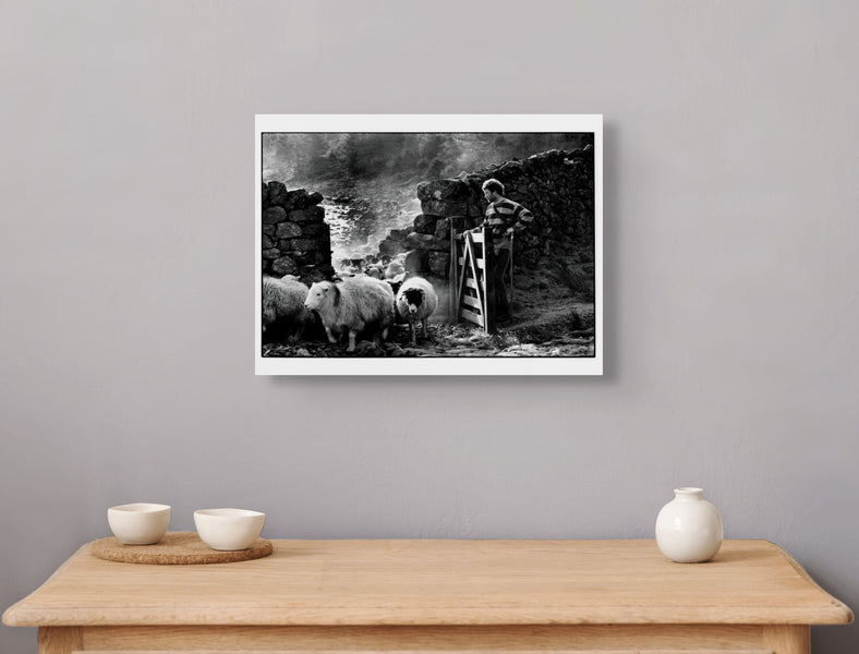 Cumbrian Shepherd, 1990