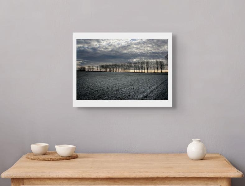 Early morning frost, the North Downs, Kent, 2010