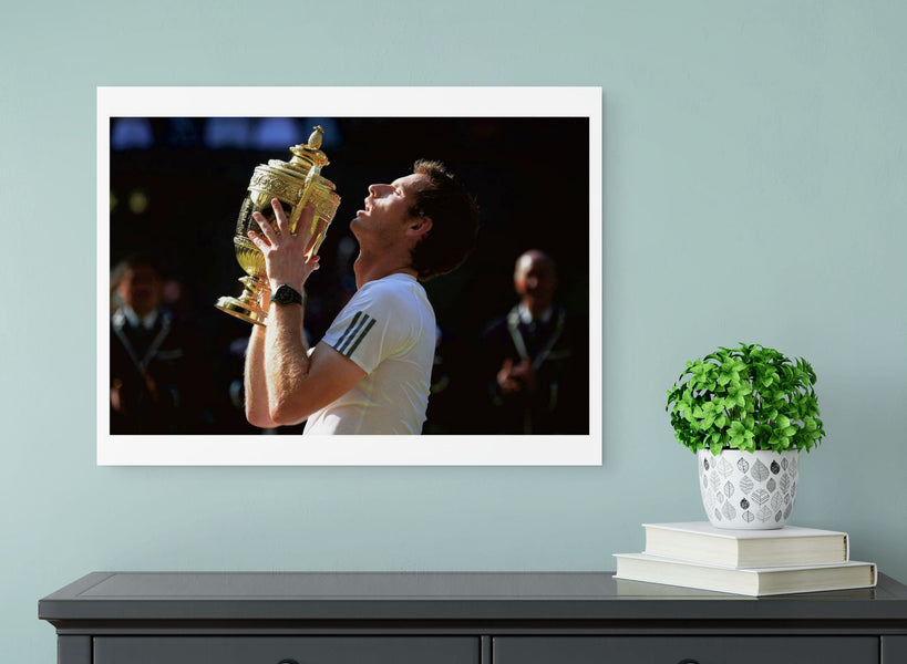 Andy Murray, 2013