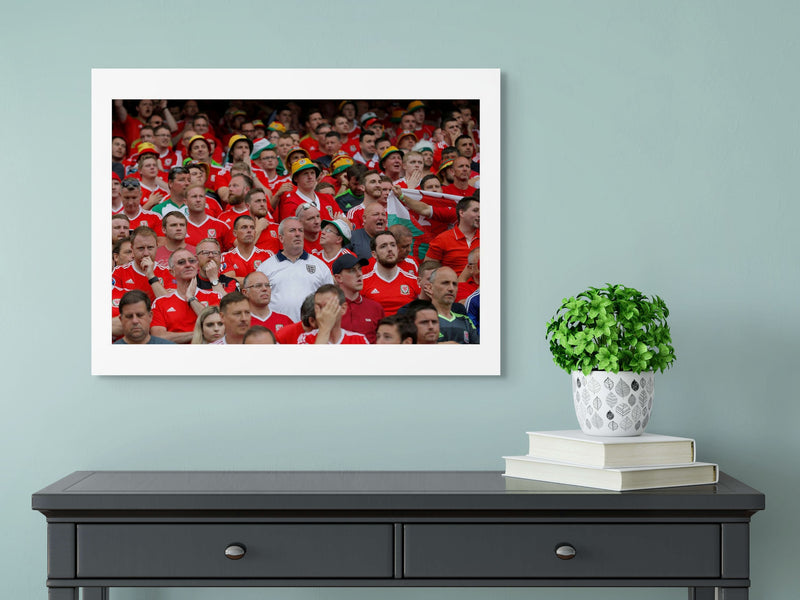 Lone England fan. England v Wales 16.06.2016