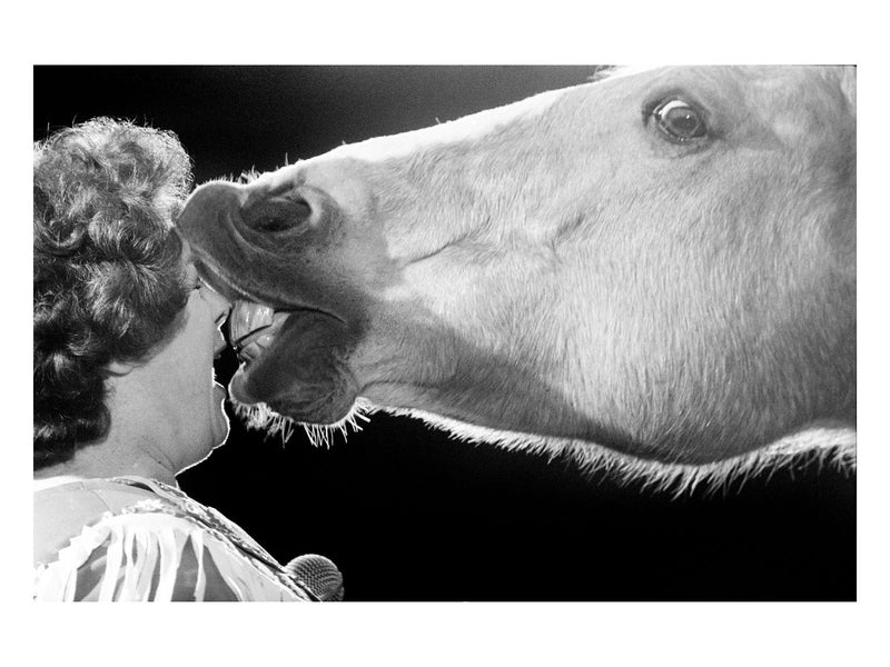 A circus horse kisses a woman, 1981